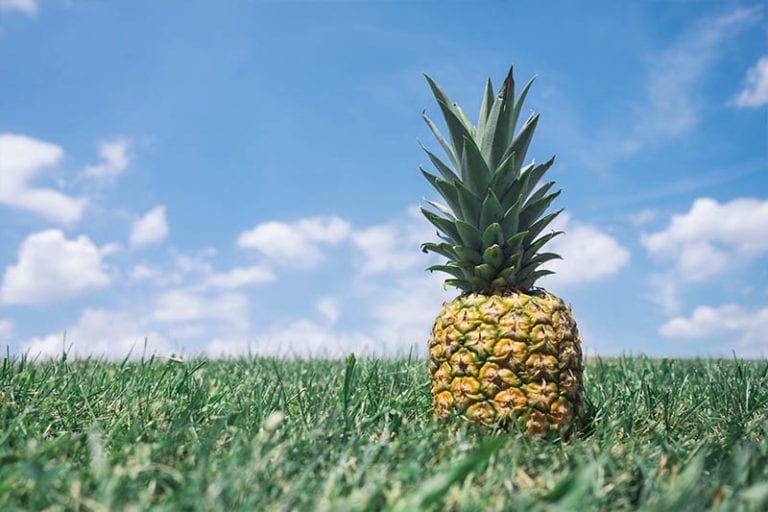 Pineapple Image