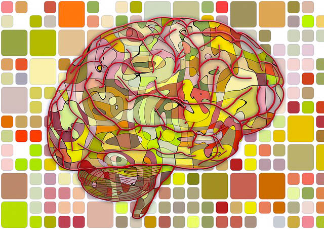 Brain Illustration Image