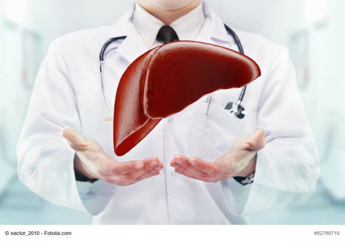 Doctor Holding Liver Image