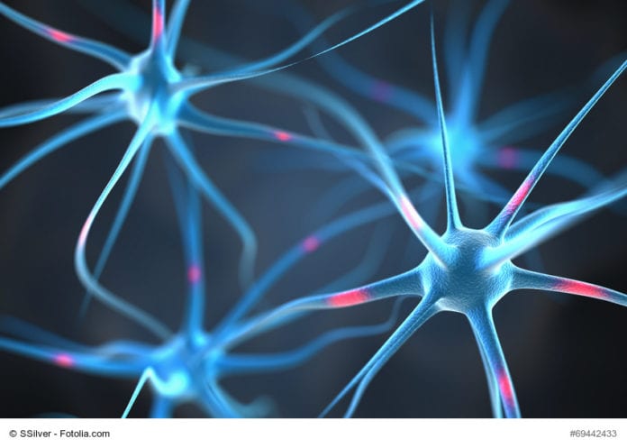 Brain Neurons Image