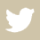Twitter_Bage
