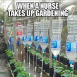 Nurse-Gardening-Setup-280×280