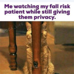 Fall-Risk-Patient-280×280