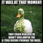 G-Tube-280×280 | Modernnurse