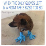 Oversized Gloves 280×280 | Modernnurse