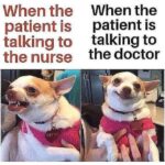 Nurse Memes