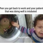 Nurselifern