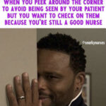 Snarkynurses(1)