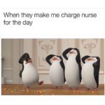 Nurse Memes