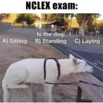 NCLEX 280×280 | Modernnurse Mag