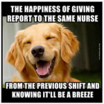 Same Nurse Report 280×280 | Modernnurse Mag